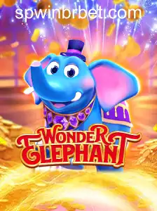 WonderElephant